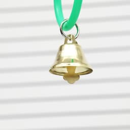 Игрушка для птиц «Разноцветные кольца» 5 шт., пластик, разноцветная