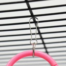 Игрушка для птиц «Разноцветные кольца» 5 шт., пластик, разноцветная