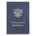Бланк «Трудовая книжка» без голограммы
