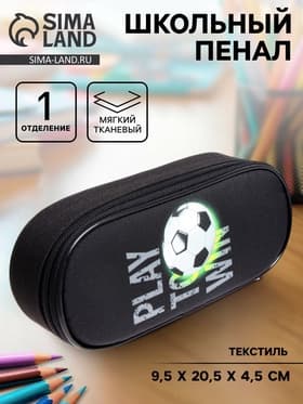 Пенал школьный, футляр, текстиль, 9.5×20.5×4.5 см «Мяч»