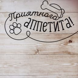 Коврик под миску нескользящий «Приятного аппетита», 43×28 см