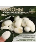 Набор спонжей для пилинга из тутового шелкопряда, 20 шт., белый