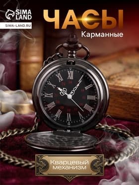 Часы карманные «Классика», кварцевые, цепочка 40 см, d=4.5 см