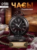 Часы карманные «Классика», кварцевые, цепочка 40 см, d=4.5 см