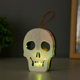 Фигурка световая RISALUX «Череп», LED-ночник, 1 Вт, RGB, от батареек LR1130, бело-чёрный, 9.5×4×5 см