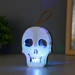 Фигурка световая RISALUX «Череп», LED-ночник, 1 Вт, RGB, от батареек LR1130, бело-чёрный, 9.5×4×5 см