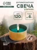 Ароматическая свеча уличная антимоскитная, 10×4.5 см, 120 г, 6 ч, хвоя, зелёный