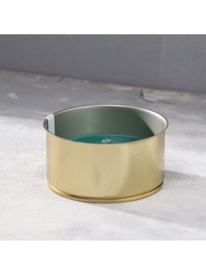 Ароматическая свеча уличная антимоскитная, 10×4.5 см, 120 г, 6 ч, хвоя, зелёный