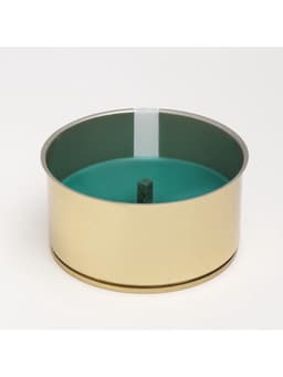 Ароматическая свеча уличная антимоскитная, 10×4.5 см, 120 г, 6 ч, хвоя, зелёный