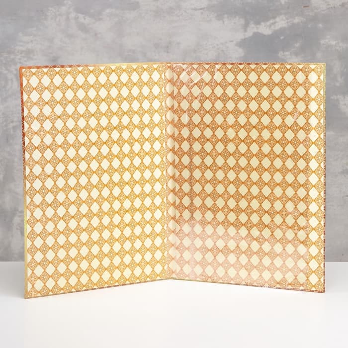 Папка с двумя файлами А4 на выпускной «Диплом выпускника»