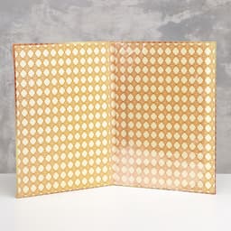 Папка с двумя файлами А4 на выпускной «Диплом выпускника»