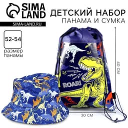Панама и мешок для обуви «Динозавр», р-р. 52-54 см