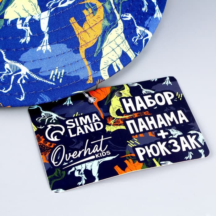 Панама и мешок для обуви «Динозавр», р-р. 52-54 см