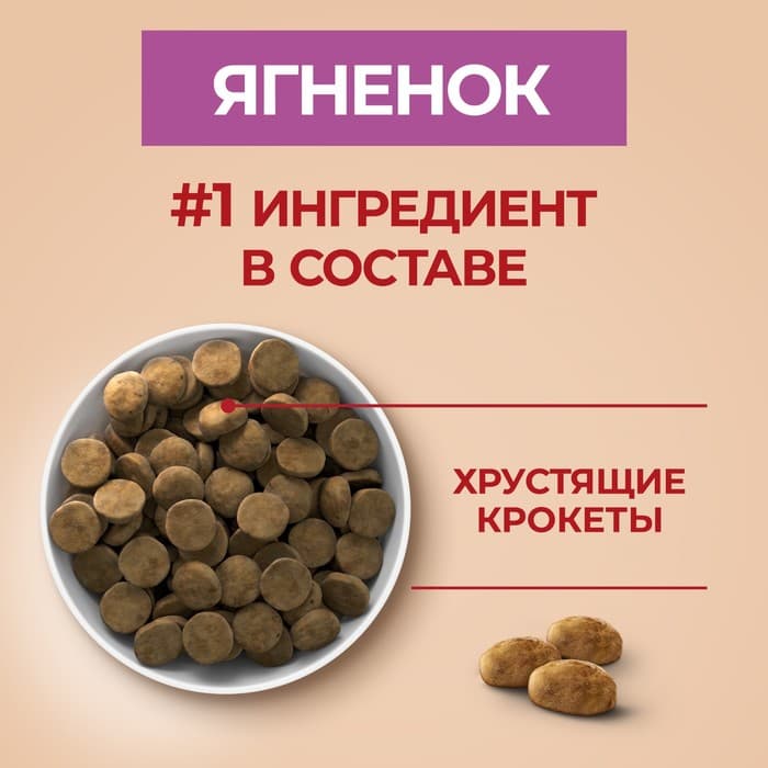 Сухой корм Purina One medium/maxi для взрослых собак ягненок/рис, 10 кг