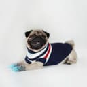 Свитер «Полоски», размер XS, ДС 17, ОШ 17, ОГ 23-37 см, синий