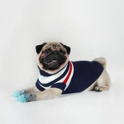 Свитер «Полоски», размер XS, ДС 17, ОШ 17, ОГ 23-37 см, синий