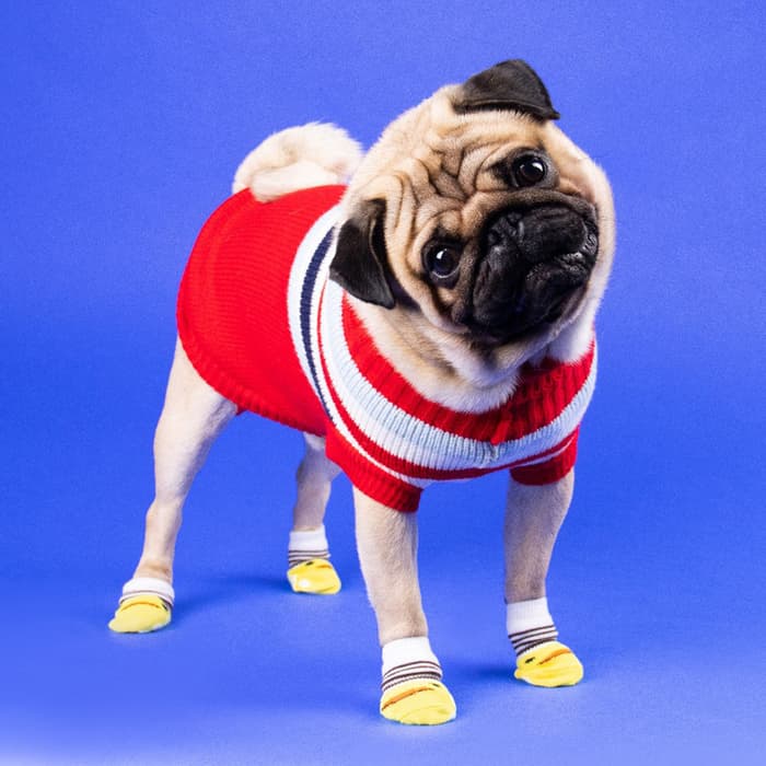 Свитер «Полоски», размер XS, ДС 17, ОШ 17, ОГ 23-37 см, красный