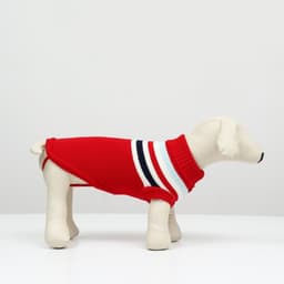 Свитер «Полоски», размер XS, ДС 17, ОШ 17, ОГ 23-37 см, красный