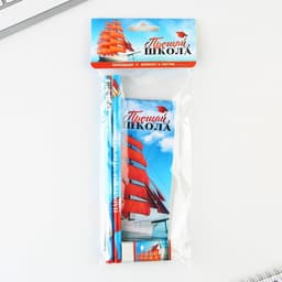 Подарочный набор, 4 предмета «Выпускной:Прощай школа»