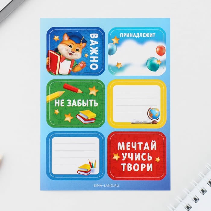 Подарочный набор в папке, 7 предметов,«Выпускника детского сада»