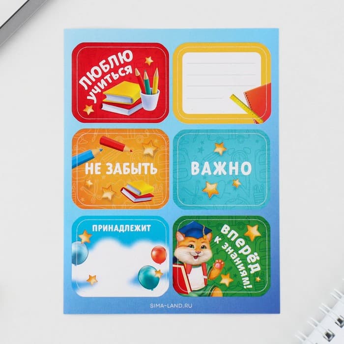 Подарочный набор в папке, 7 предметов,«Выпускника детского сада»