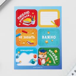 Подарочный набор в папке, 7 предметов,«Выпускника детского сада»