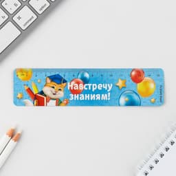 Подарочный набор в папке, 7 предметов,«Выпускника детского сада»