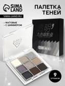 Набор теней для век SILVER, 9 цветов
