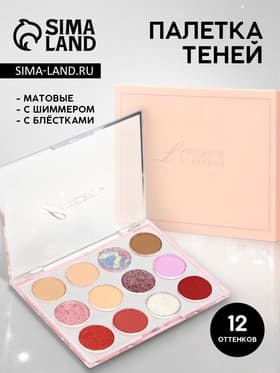 Профессиональная палетка теней для век SKY, 12 цветов