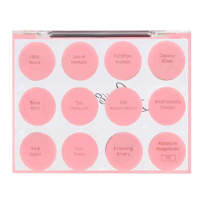 Профессиональная палетка теней для век SKY, 12 цветов