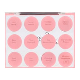 Профессиональная палетка теней для век SKY, 12 цветов