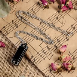 Губная гармошка Music Life 4 отверстия, 8 тонов, 3.5×1.5×1 см, цепь 28 см, черная