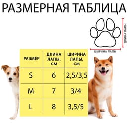 Носки нескользящие «Цыплёнок», размер S (2.5/3.5×6 см), набор 4 шт.