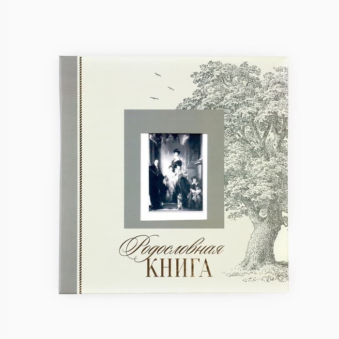 Родословная книга с рамкой под фото «Семейная», 21.5×23.7 см
