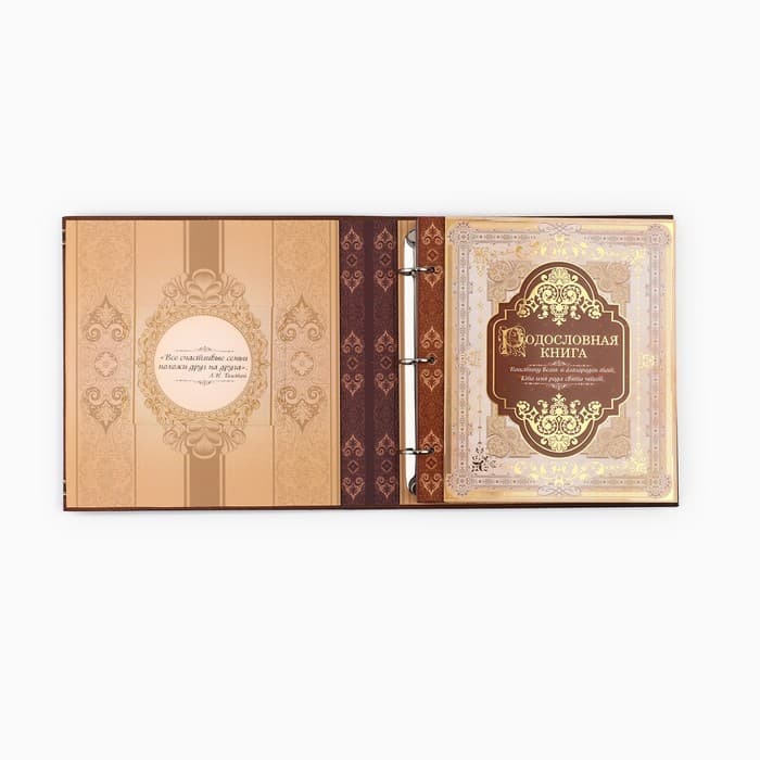 Родословная книга с рамкой под фото «Семейная», 21.5×23.7 см