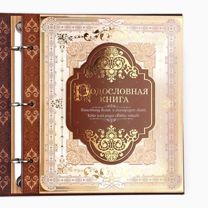 Родословная книга с рамкой под фото «Семейная», 21.5×23.7 см