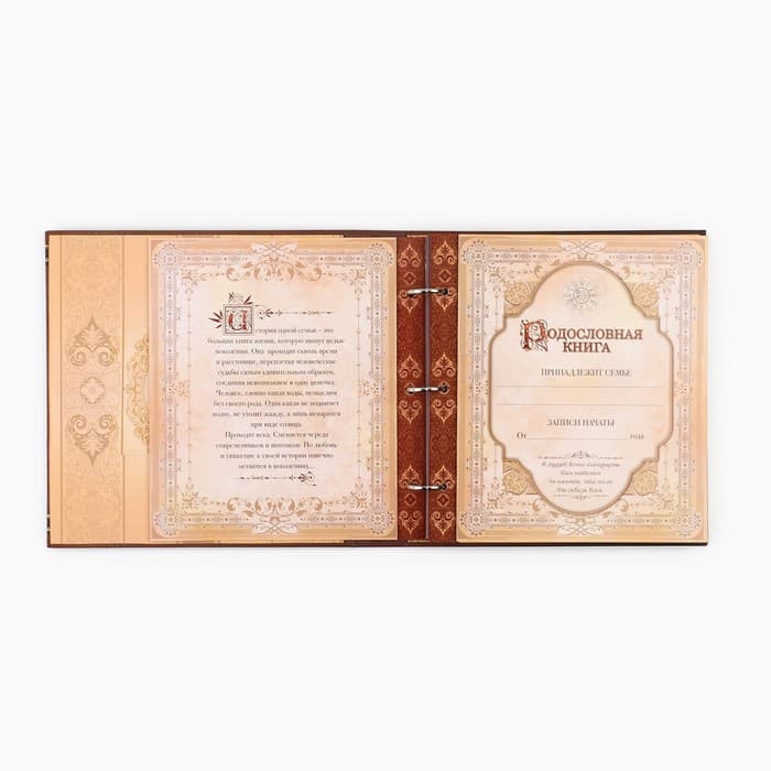 Родословная книга с рамкой под фото «Семейная», 21.5×23.7 см