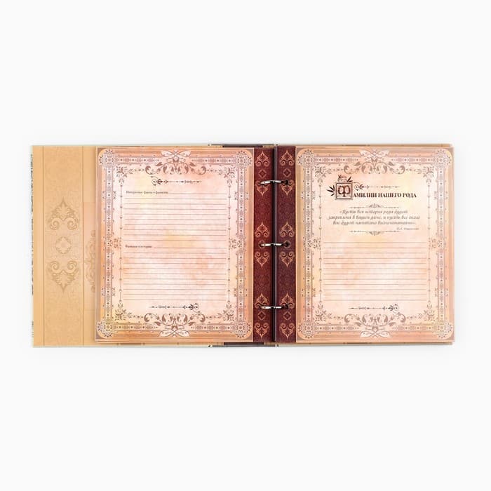Родословная книга с рамкой под фото «Семейная», 21.5×23.7 см