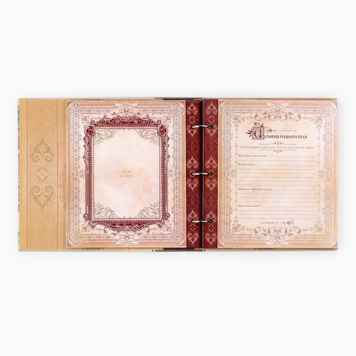 Родословная книга с рамкой под фото «Семейная», 21.5×23.7 см