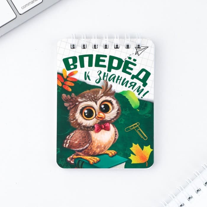 Подарочный набор «Вперёд к знаниям!», ластики 2 шт., карандаши HB 2 шт., блокнот А7