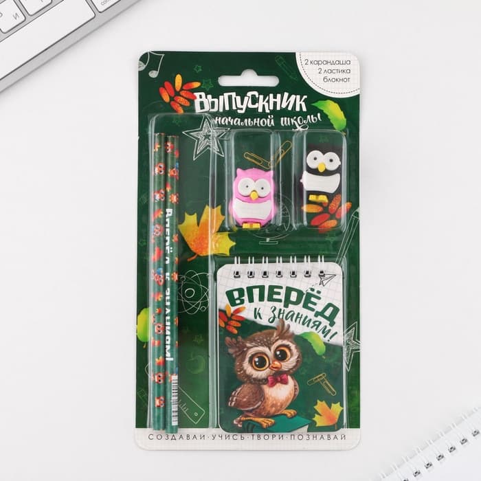 Подарочный набор «Вперёд к знаниям!», ластики 2 шт., карандаши HB 2 шт., блокнот А7