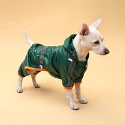 Комбинезон для собак, демисезонный, размер XS, ДС 17-19, Ог 27-29, ОШ 19-21 см, зелёный