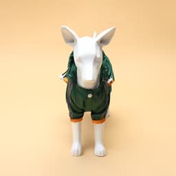 Комбинезон для собак, демисезонный, размер XS, ДС 17-19, Ог 27-29, ОШ 19-21 см, зелёный