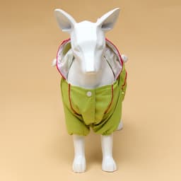 Комбинезон для собак, демисезонный, размер XS, ДС 21, Ог 29, ОШ 19 см, с сумкой, салатовый