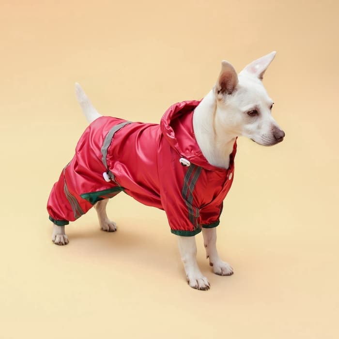 Комбинезон для собак, демисезонный, размер M, ДС 25-27, Ог 35-37, ОШ 27-29 см, красный