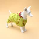 Комбинезон для собак, демисезонный, размер XL, ДС 37, Ог 49, ОШ 33 см, с сумкой, салатовый