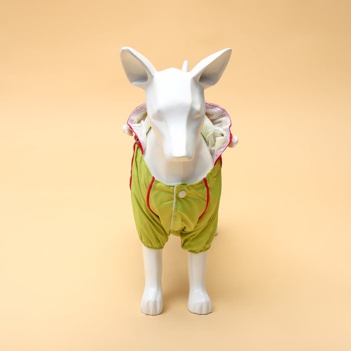 Комбинезон для собак, демисезонный, размер XL, ДС 37, Ог 49, ОШ 33 см, с сумкой, салатовый