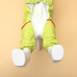 Комбинезон для собак, демисезонный, размер XL, ДС 37, Ог 49, ОШ 33 см, с сумкой, салатовый