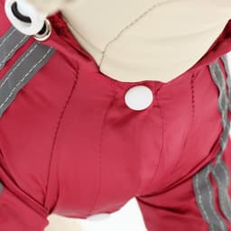 Комбинезон для собак, демисезонный, размер 2XL, ДС 34-36, Ог 51-53, ОШ 39-41 см, красный