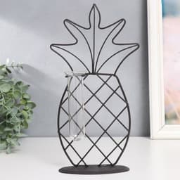 Фигурка с колбой для сухоцветов, цветка «Ананас», чёрный, 15×5.5×25 см
